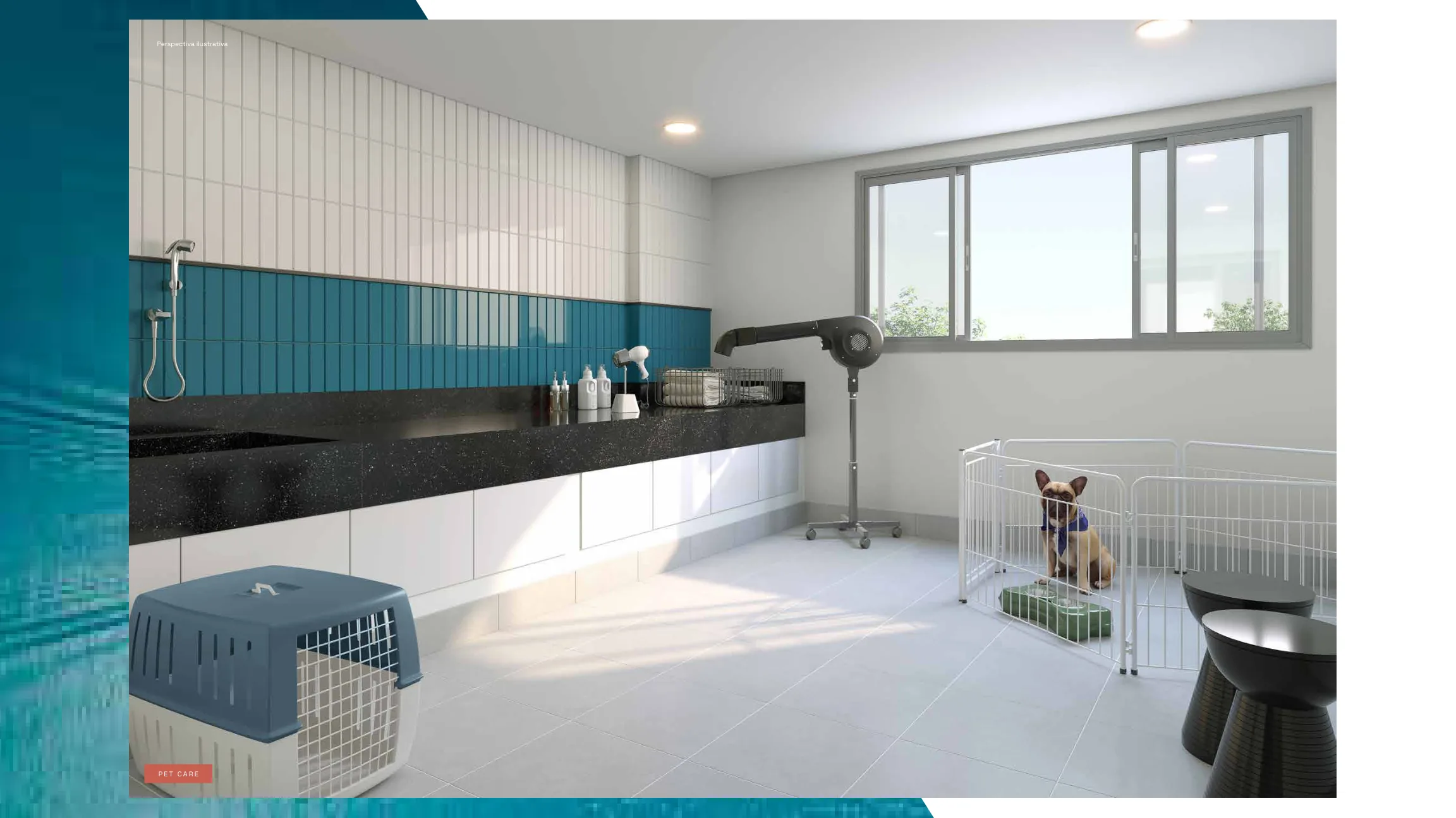 Pet Care